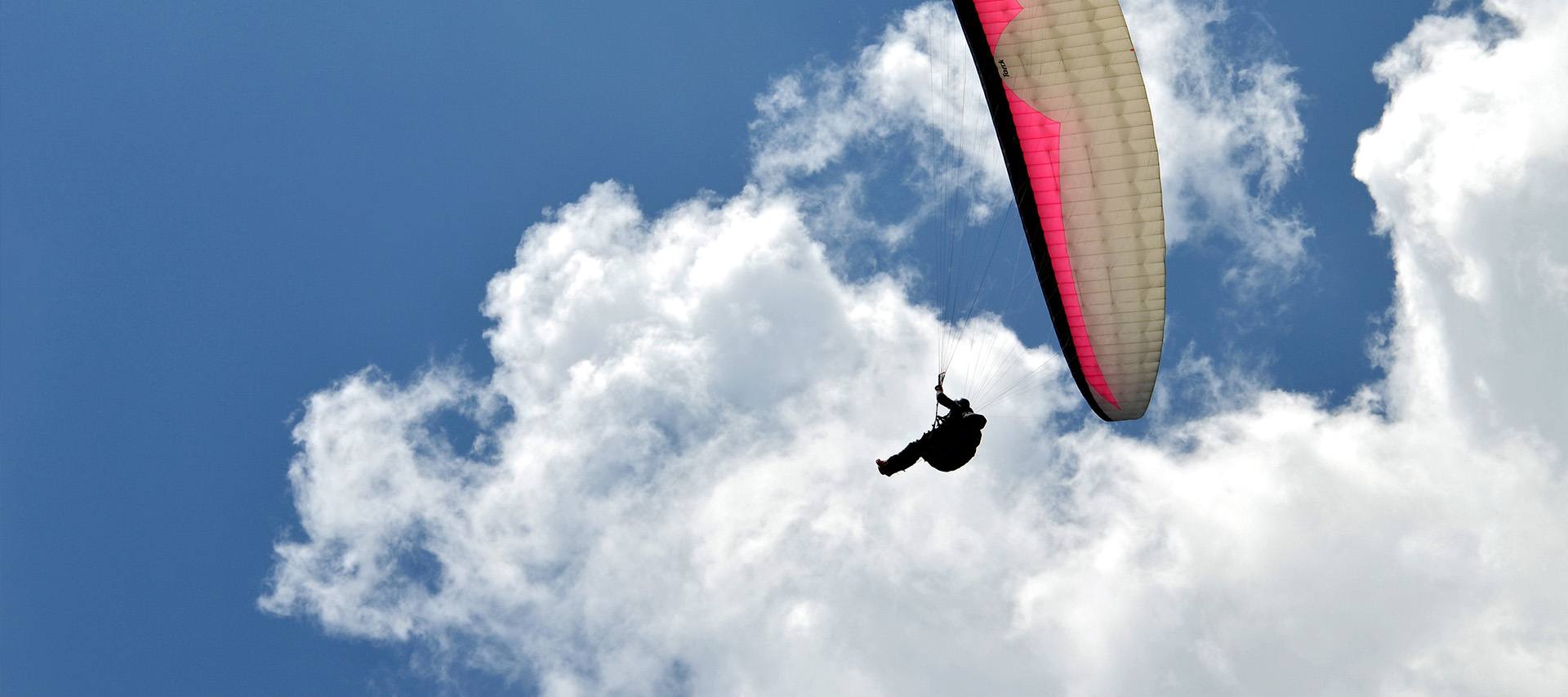 Fenerbahçe & Benfica Maçı 